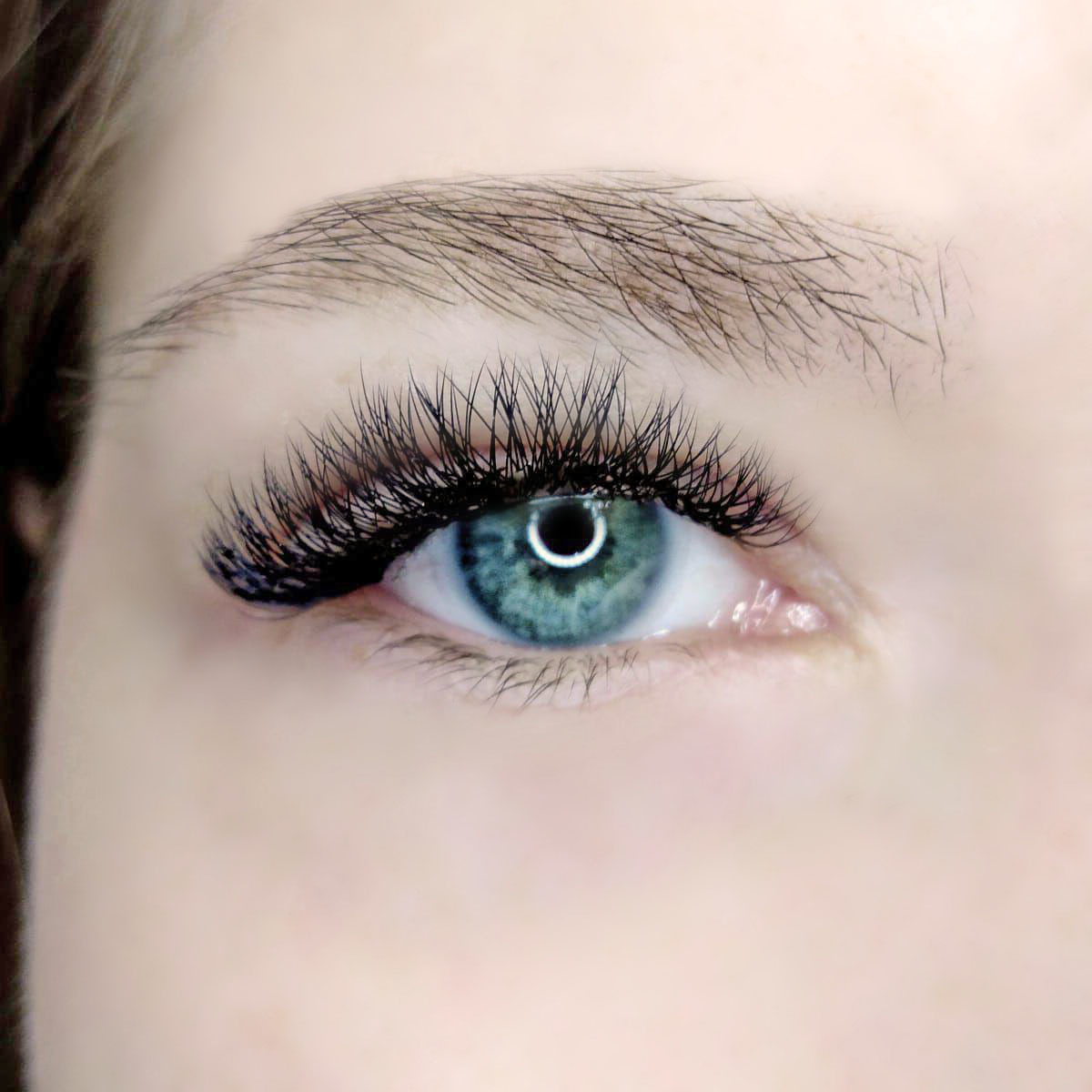 lashes 2D